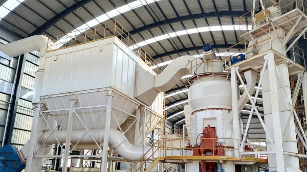 bucket elevator for mineral processing